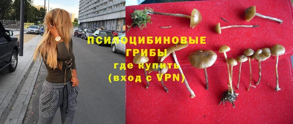 ГАЛЛЮЦИНОГЕННЫЕ ГРИБЫ Зеленокумск
